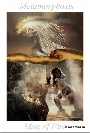 Nature Tarot by Jan Strube